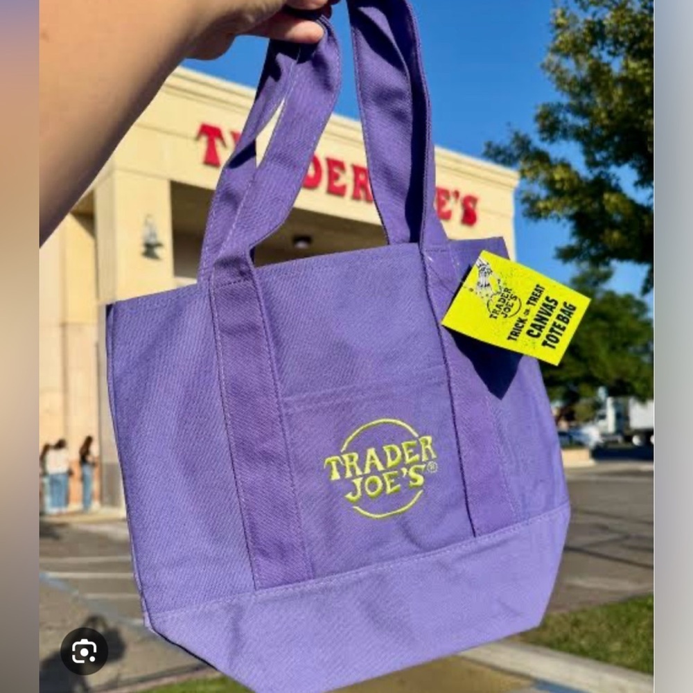 Trader Joe's Purple Canvas Mini Tote Bag